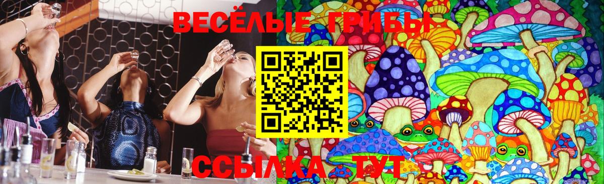Видное  Псилоцибиновые грибы GOLDEN TEACHER  Вход с VPN 